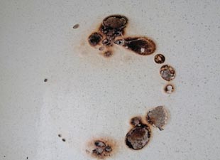 From Wood to Stone: How Different Surfaces Are Expertly Restored