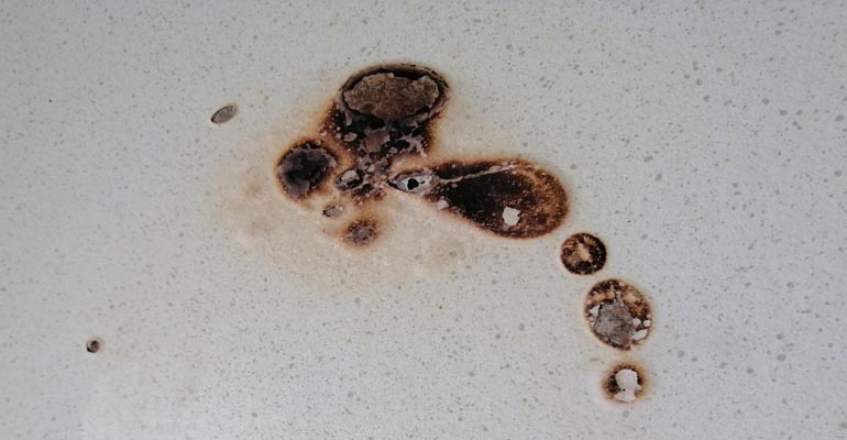 From Wood to Stone: How Different Surfaces Are Expertly Restored