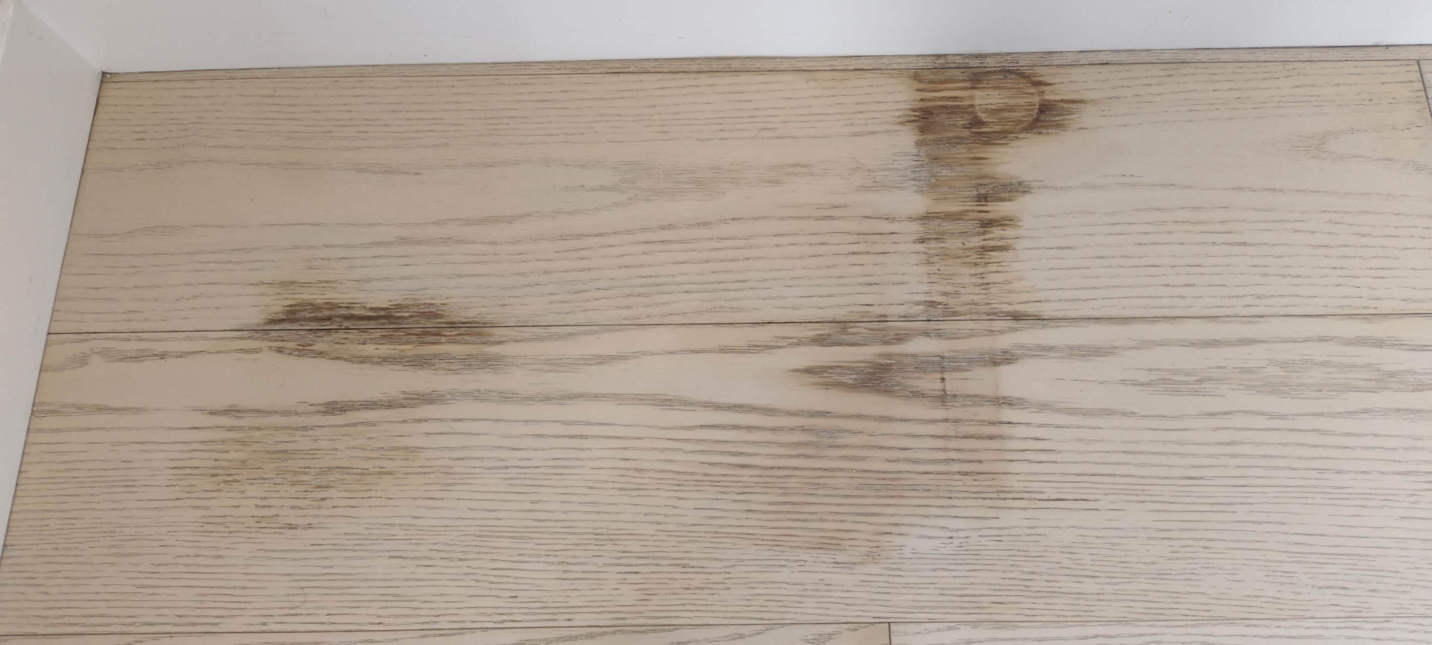 Mouldy and water-damaged timber floor planks in a Macquarie apartment before restoration.
