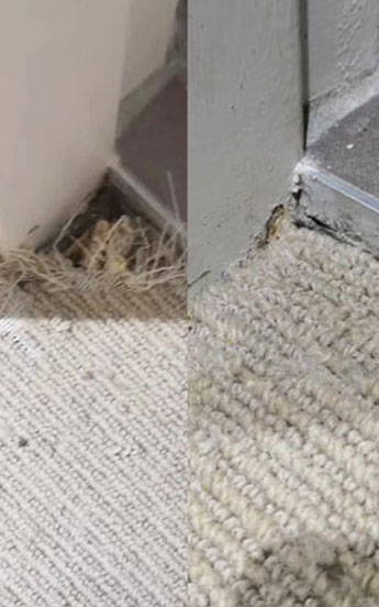Carpet Fiber Repair
